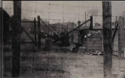 Vernichtung : Vereint im Kampfe